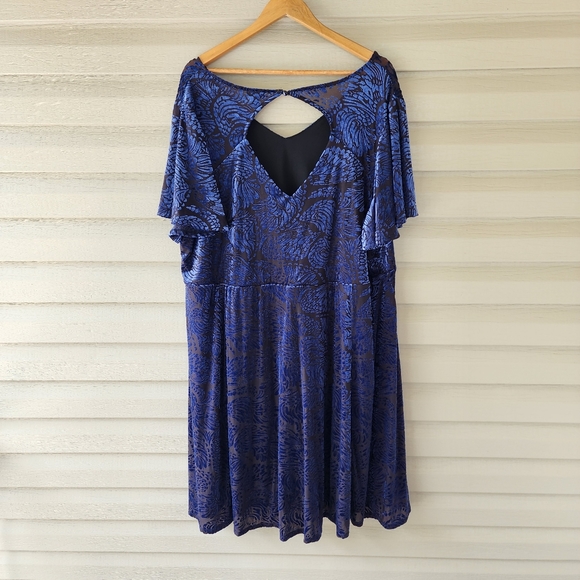 Torrid blue velor print dress size 4X plus size - Picture 11 of 11